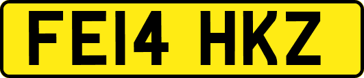 FE14HKZ