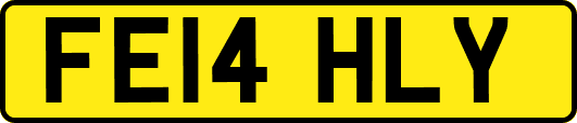 FE14HLY
