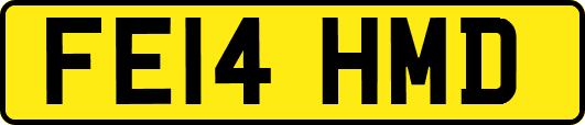 FE14HMD