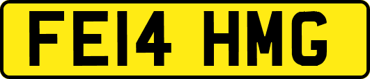 FE14HMG