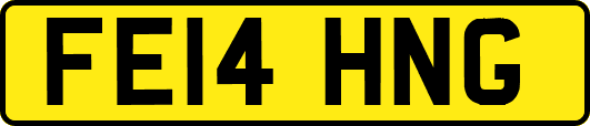 FE14HNG