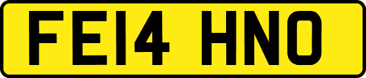 FE14HNO