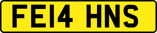 FE14HNS