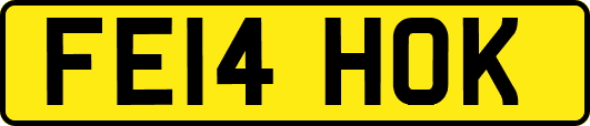FE14HOK