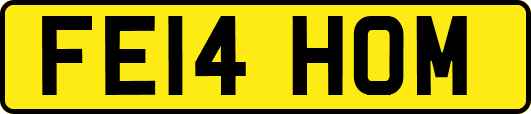 FE14HOM