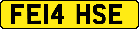 FE14HSE