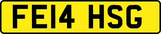 FE14HSG