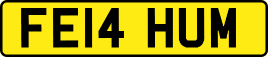 FE14HUM
