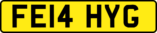 FE14HYG