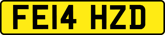 FE14HZD