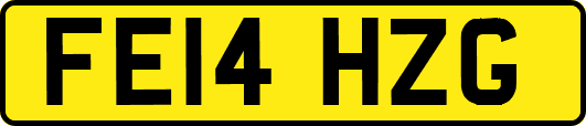 FE14HZG