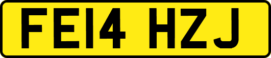 FE14HZJ