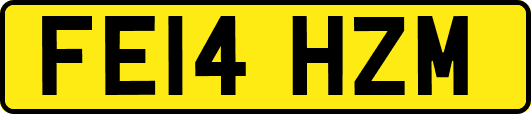 FE14HZM