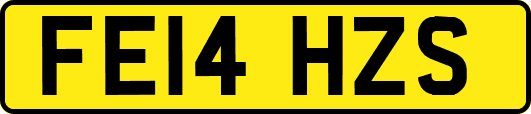 FE14HZS