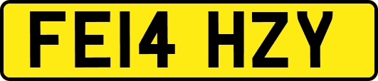 FE14HZY