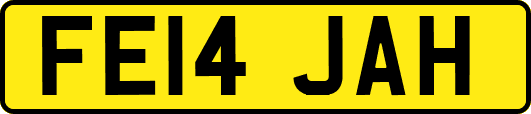 FE14JAH