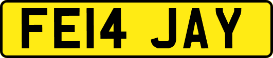 FE14JAY