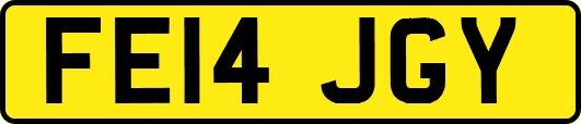 FE14JGY