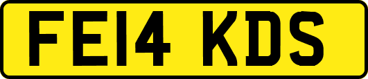 FE14KDS