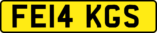 FE14KGS