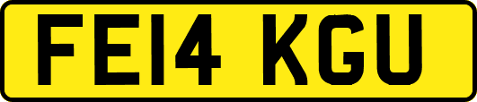 FE14KGU