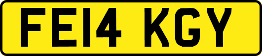 FE14KGY