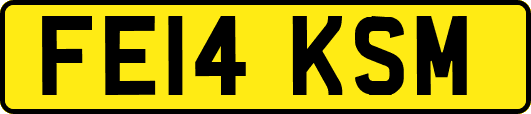 FE14KSM