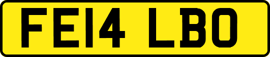 FE14LBO