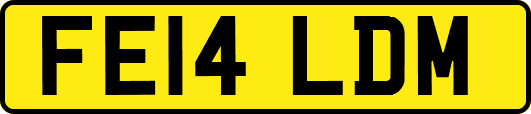 FE14LDM