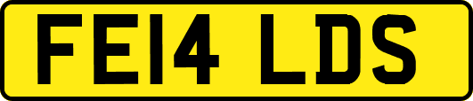FE14LDS