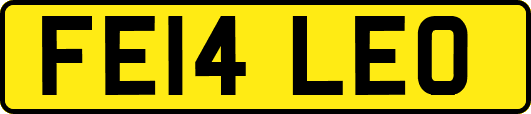 FE14LEO