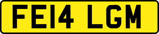 FE14LGM