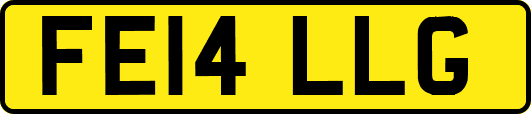 FE14LLG