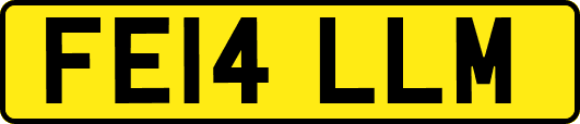 FE14LLM