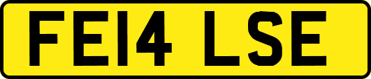 FE14LSE