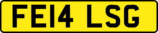 FE14LSG