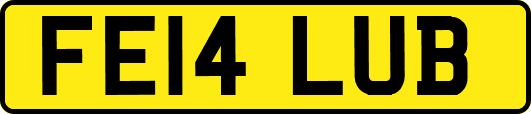 FE14LUB