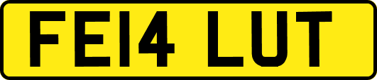FE14LUT