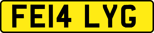FE14LYG