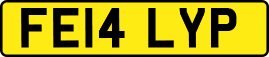FE14LYP