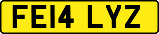 FE14LYZ