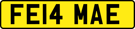 FE14MAE
