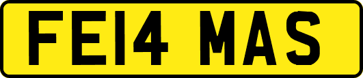 FE14MAS