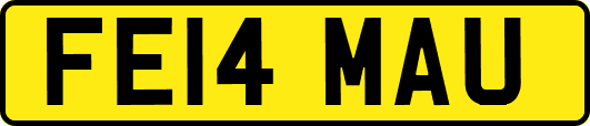 FE14MAU