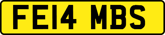 FE14MBS