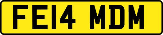 FE14MDM