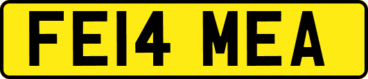 FE14MEA