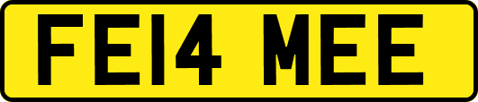FE14MEE