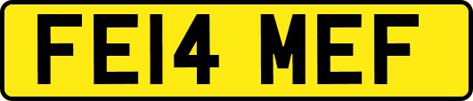 FE14MEF