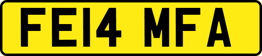 FE14MFA